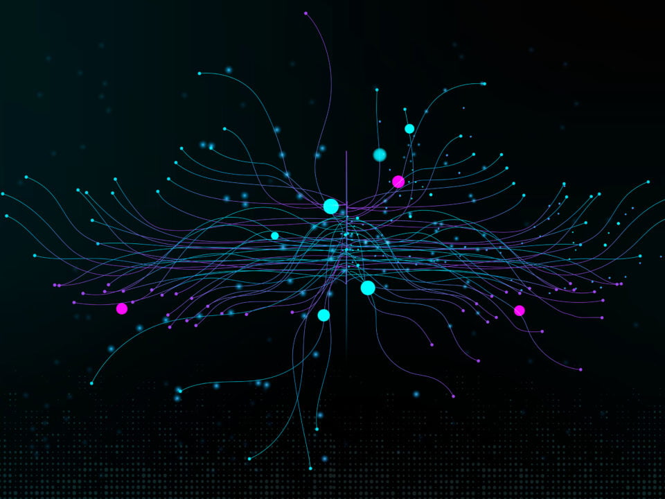 Développement de l'activité des services de nettoyage à Marrakech